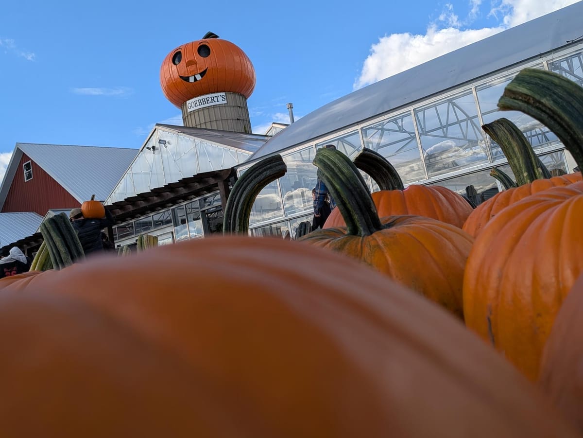 Horror Movie Roundup 2025